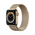 Apple Watch Series 6 GPS + Cellular, 40mm Gold Stainless Steel ...